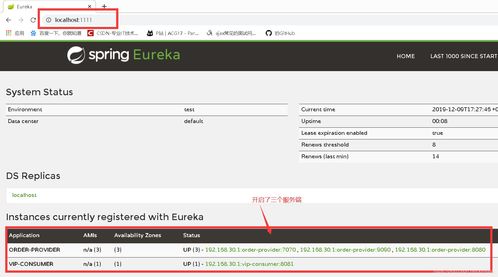 Eureka 服務(wù)注冊(cè)中心與互聯(lián)網(wǎng)域名注冊(cè)服務(wù)的區(qū)別與聯(lián)系