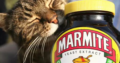 餐飲業戰“疫”新動向 海底撈精釀線下擴張，BrewDog跨界酵母醬，行業自救各顯神通